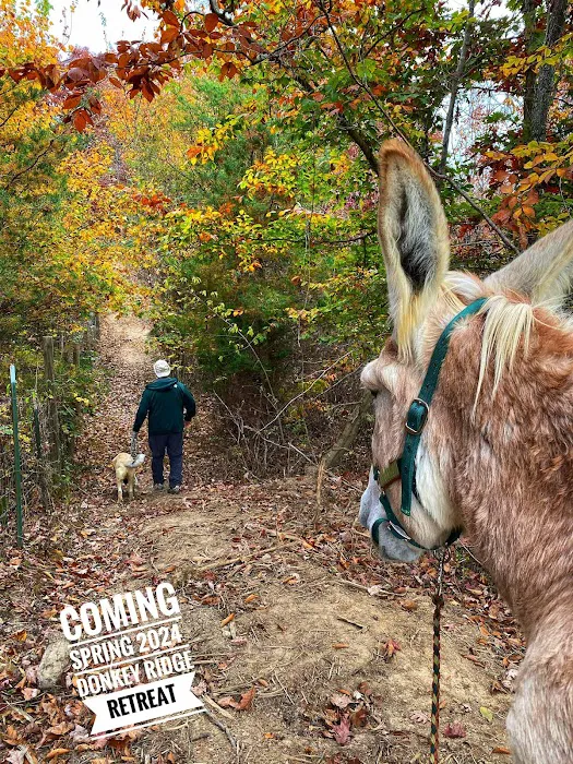Gods Blessing Farm LLC 1