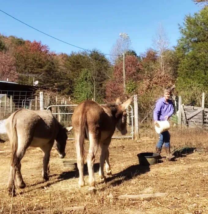 Gods Blessing Farm LLC 2