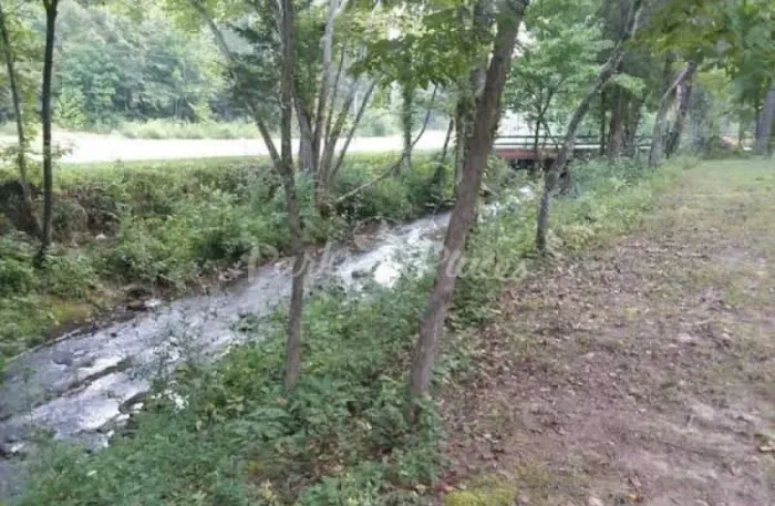 Dragon Mountain RV & Cabin Resort 1