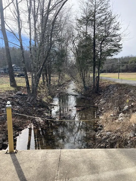 Dragon Mountain RV & Cabin Resort 3