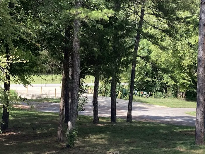 Dragon Mountain RV & Cabin Resort 6