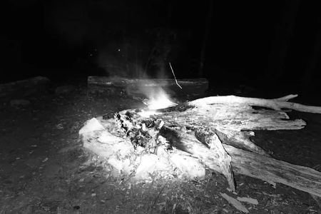 Backcountry Campsite #95