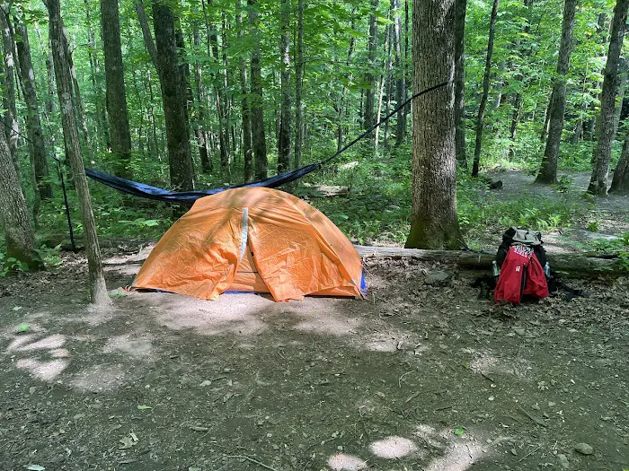 Backcountry Campsite #95 5