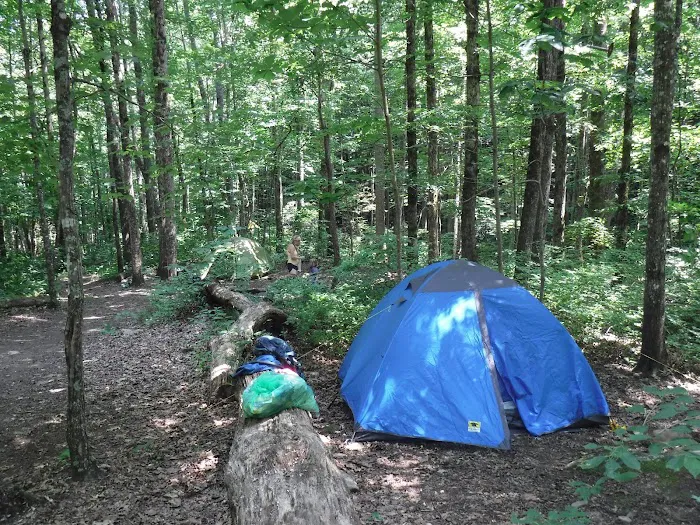 Backcountry Campsite #95 7