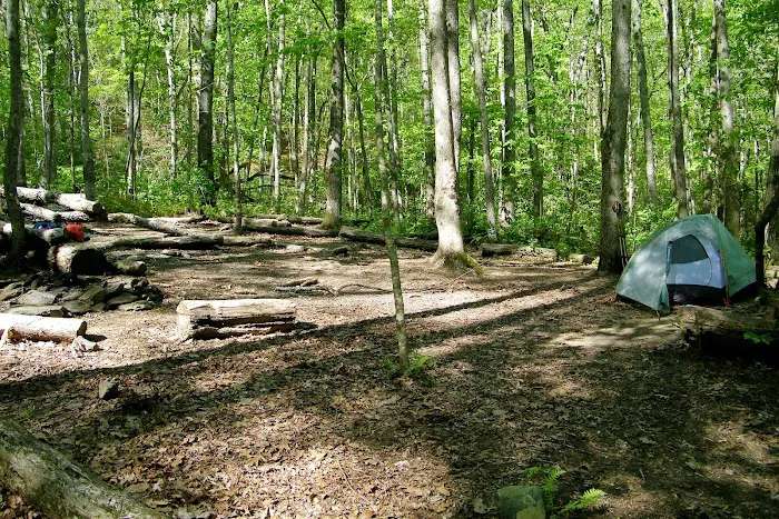 Backcountry Campsite #95 8