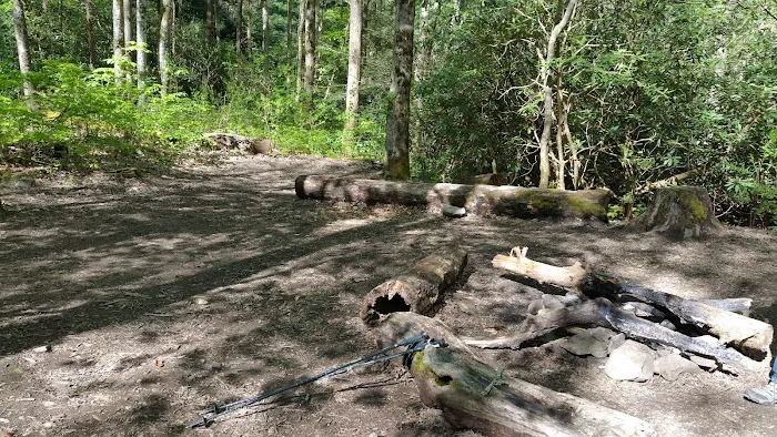 Backcountry Campsite #93 1