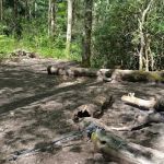 Backcountry Campsite #93