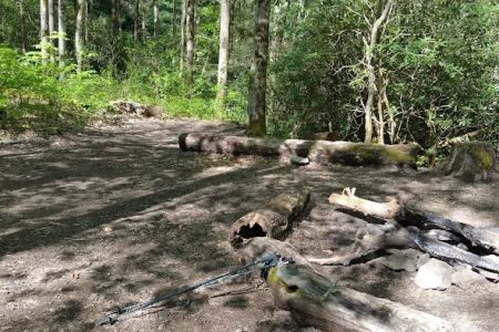 Backcountry Campsite #93