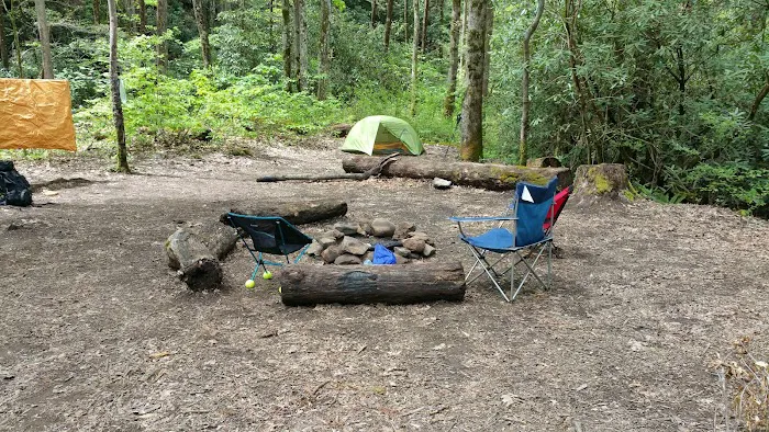 Backcountry Campsite #93 2