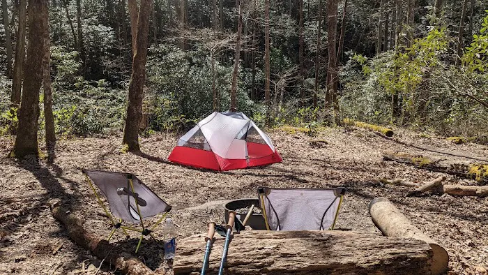 Backcountry Campsite #93 6