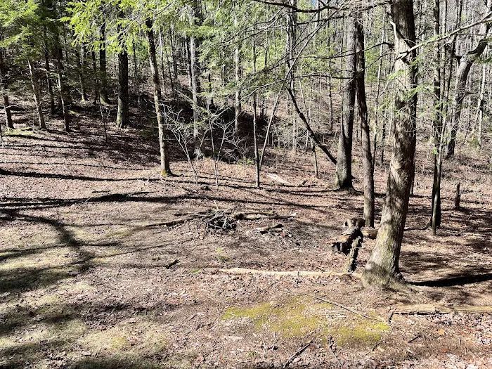 Backcountry Campsite #14 1
