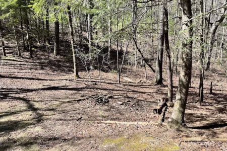 Backcountry Campsite #14