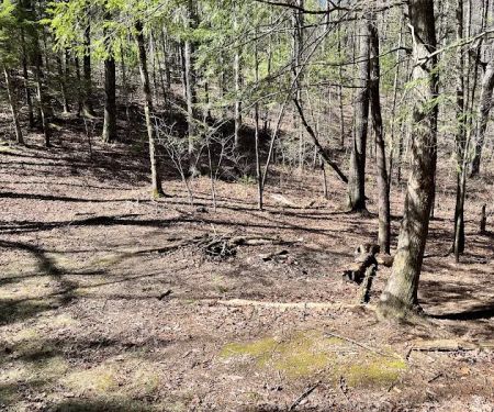 Backcountry Campsite #14