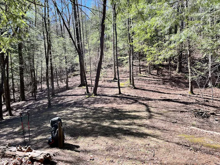 Backcountry Campsite #14 2