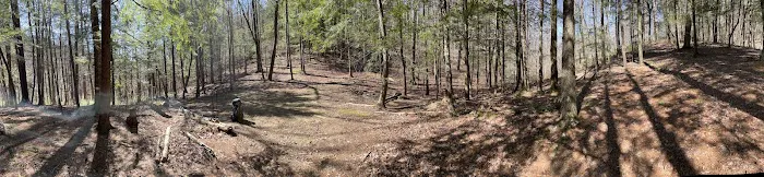 Backcountry Campsite #14 4