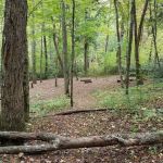 Backcountry Camp 12