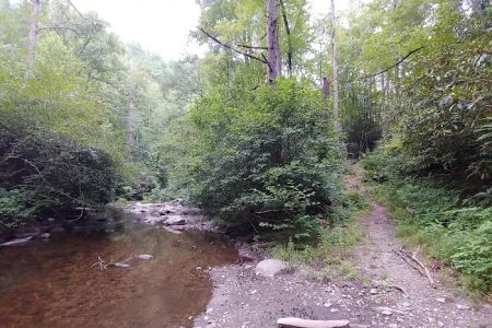 Backcountry Camp 15