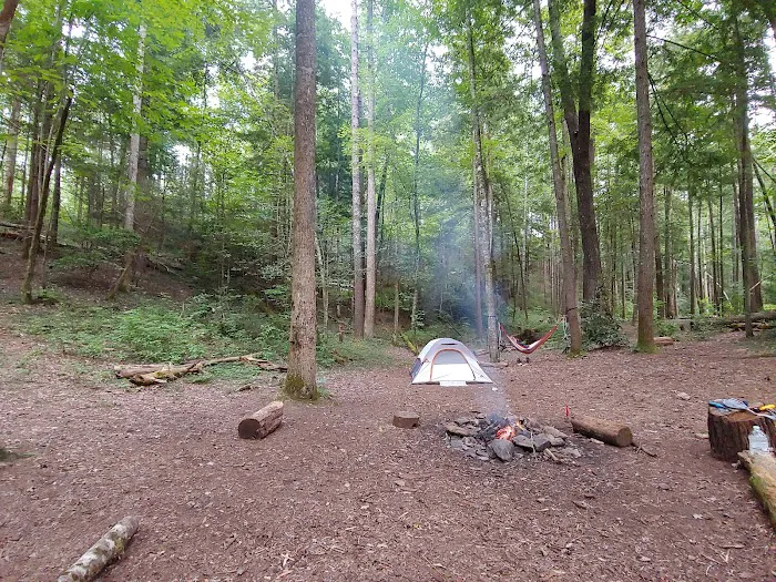 Backcountry Camp 15 2