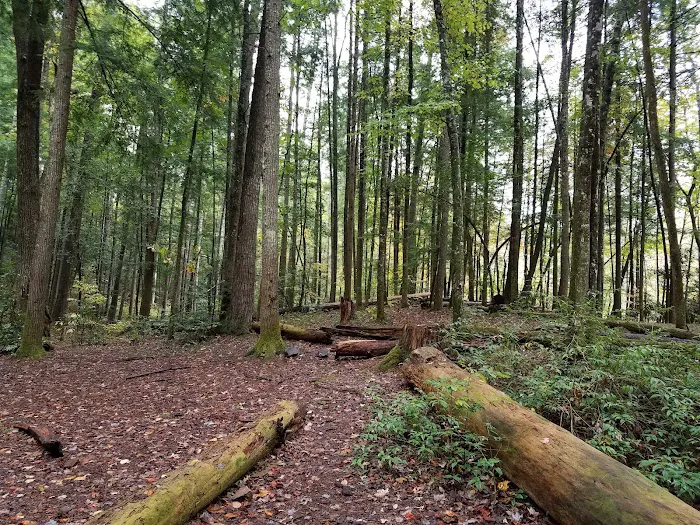Backcountry Camp 15 8