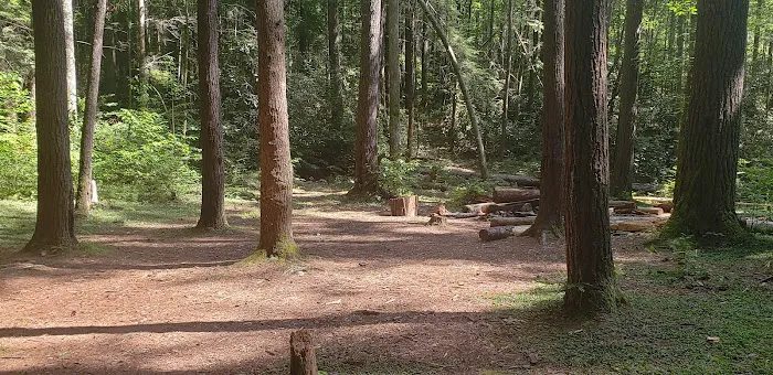 Backcountry Camp 15 10