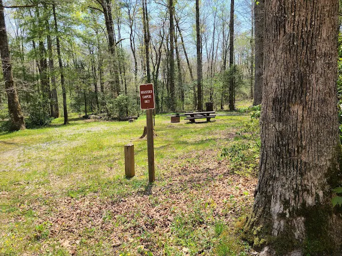 USFS Wolf Ford Horse Camp 1