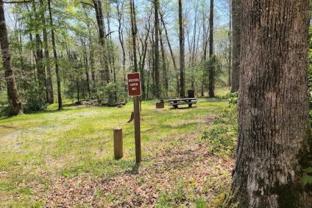 USFS Wolf Ford Horse Camp