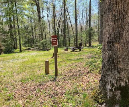 USFS Wolf Ford Horse Camp