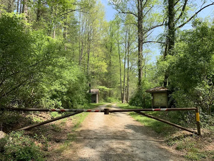 USFS Wolf Ford Horse Camp 7