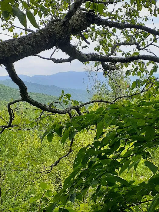 Mount Pisgah Campgrounds 5