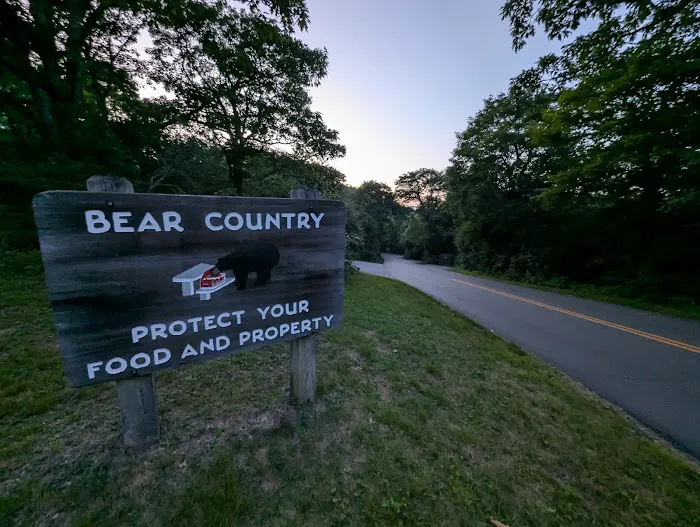Mount Pisgah Campgrounds 9