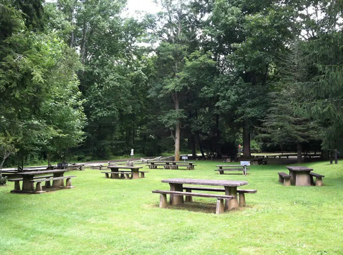 Sunburst Campground 3