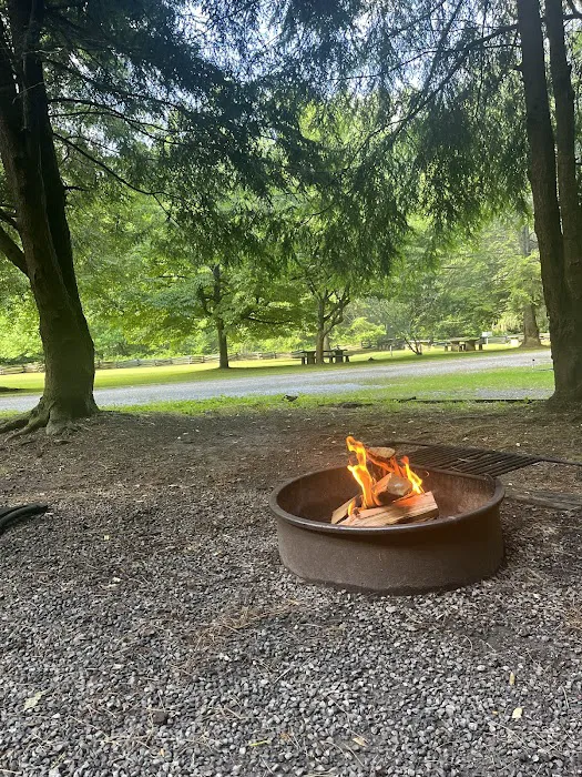 Sunburst Campground 5