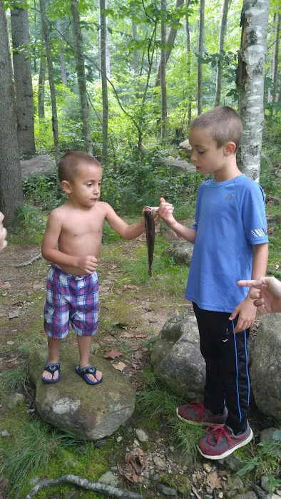 Sunburst Campground 8