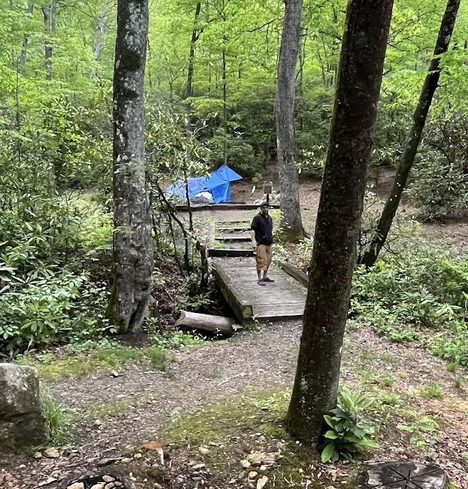 Wash Creek Campsite 1