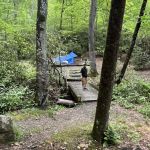 Wash Creek Campsite