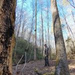 Backcountry Camp 65