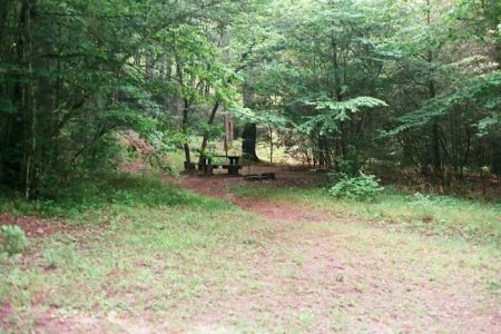 Backcountry Camp 64