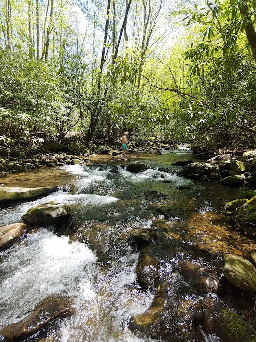 Backcountry Camp 64 3