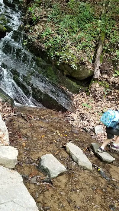 Backcountry Camp 60 5