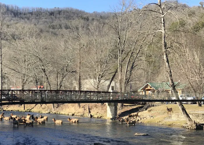 Cherokee Riverfront RV Park 1