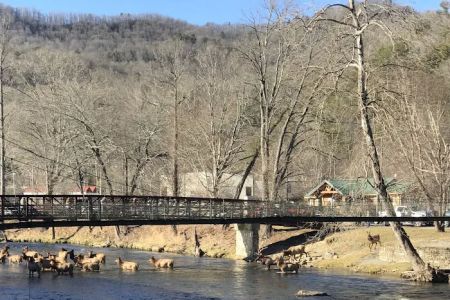 Cherokee Riverfront RV Park