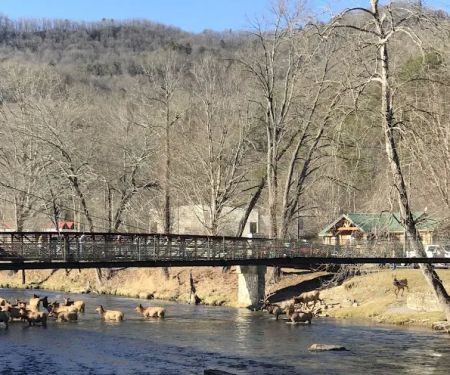 Cherokee Riverfront RV Park