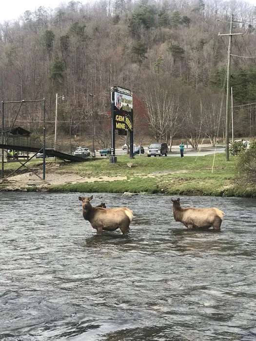 Cherokee Riverfront RV Park 5