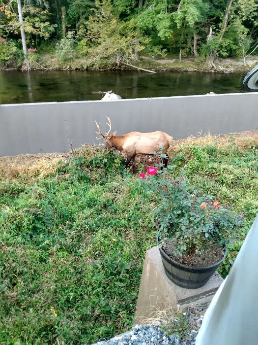 Cherokee Riverfront RV Park 4