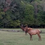 Welch Family Campground