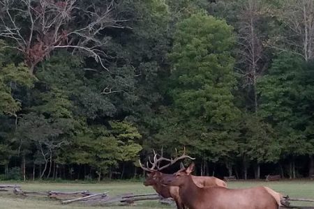 Welch Family Campground