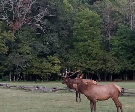 Welch Family Campground