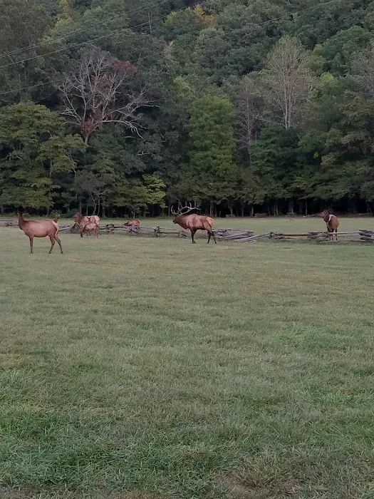 Welch Family Campground 4