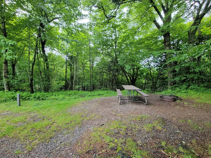 Balsam Mountain Campground 4