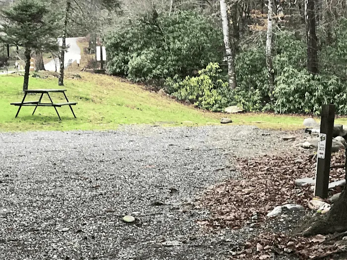 Yogi Bear's Jellystone Park™ - Cherokee NC 6